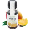 Cerf Dellier Arômes Naturels*Arome Naturel De Mangue Biologique 50 Ml
