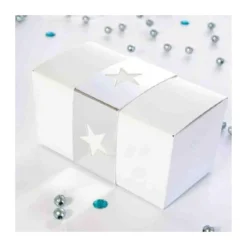 Ballotin Blanc, Interieur Blanc 250 G (X 50)>Cerf Dellier Hot