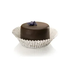 Caissettes Cuisson Sienne 55 X 32 Mm (X1000)>Cerf Dellier Sale