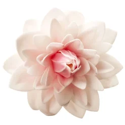 Dahlia Rose Geant Azyme>Cerf Dellier Clearance
