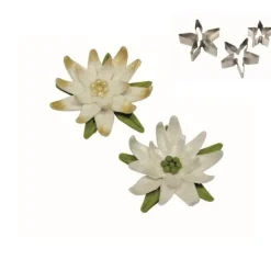 Cerf Dellier Emporte-Pièces Et Découpoirs*Emporte-Pièces Inox Poinsettia Pme (X 3)