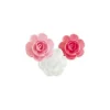Grande Rose Coloris Assortis (X36)>Cerf Dellier Best