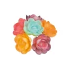Grandes Roses Assorties Nuancees (X36)>Cerf Dellier Discount