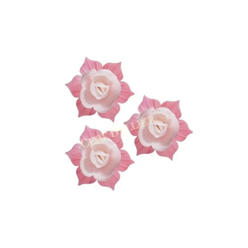 Jonquille Blanche Et Rose (X28)>Cerf Dellier Hot