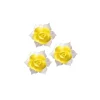 Jonquille Jaune Et Blanche (X28)>Cerf Dellier Hot