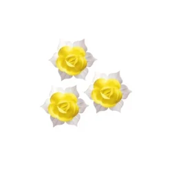 Jonquille Jaune Et Blanche (X28)>Cerf Dellier Hot