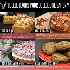 Cerf Dellier Levures*Levure De Boulangerie Ancel 7 G (X3)