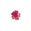 Mini-Rose Arome Fruits Rouges (X60)>Cerf Dellier Best