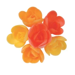Mini-Roses Assorties Arome Fruits Exotiques (X72)>Cerf Dellier Hot