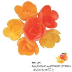 Mini-Roses Assorties Arome Fruits Exotiques (X72)>Cerf Dellier Hot