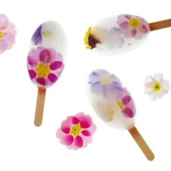 Moule A Esquimaux Silicone Waikiki + 50 Bâtons>Cerf Dellier Best