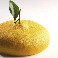 Cerf Dellier Grands Gâteaux*Moule Silicone Citron Pavoni