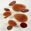Cerf Dellier Gâteaux Individuels*Moule Silicone Mini Quenelles Pavoni