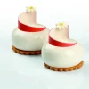Cerf Dellier Gâteaux Individuels*Moule Silicone Planet Pavoni