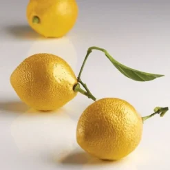 Cerf Dellier Gâteaux Individuels*Moule Silicone Professionnel 3D Citrons Pavoni