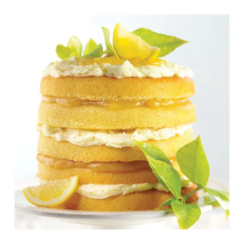 Cerf Dellier Moules Anti-Adhérents*Moules Layer Cake 15 Cm Wilton (X5)