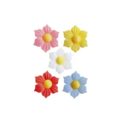 Narcisses Coloris Assortis (X100)>Cerf Dellier Hot