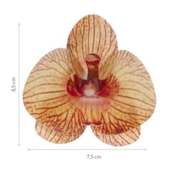 Orchidees Jaunes Azyme (X10)>Cerf Dellier Discount