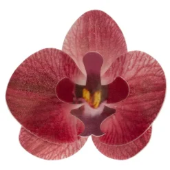 Orchidees Rouges Azyme (X10)>Cerf Dellier Best