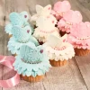 Cerf Dellier Pâte À Sucre Pour Couverture*Pâte À Sucre Marshmallow Blanche Patisdecor 250 G