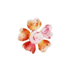 Rose Decor Nuance Aerographe (X72)>Cerf Dellier New