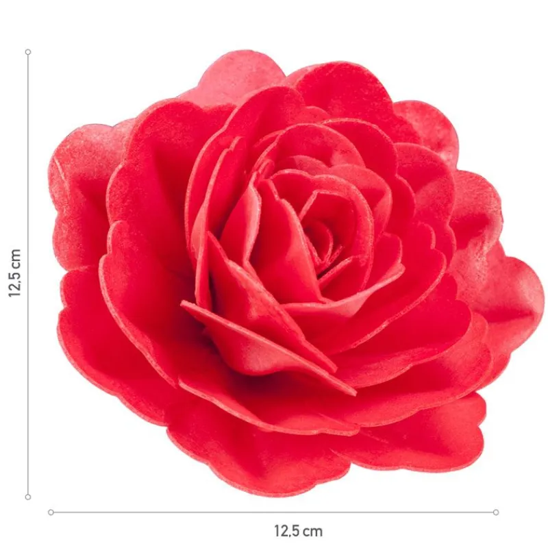 Rose Rouge Geante Azyme>Cerf Dellier Sale