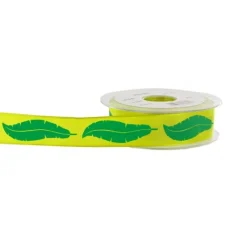 Ruban Plumes Anis 25 Mm (20 M)>Cerf Dellier