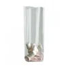 Sachets Transparent Fond Cartonnes (X100)>Cerf Dellier Outlet
