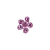 Violette Azyme Cristallisee (X100)>Cerf Dellier Hot